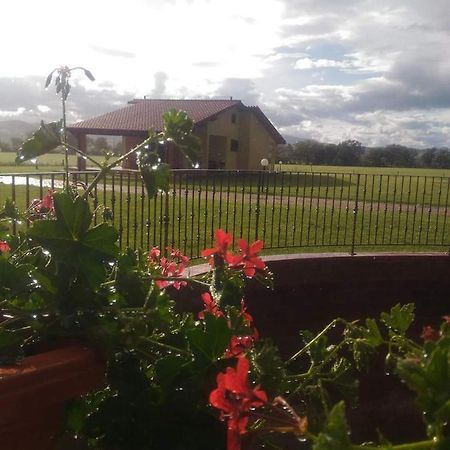 Agriturismo Oasi Del Pianettino Campagnatico 外观 照片