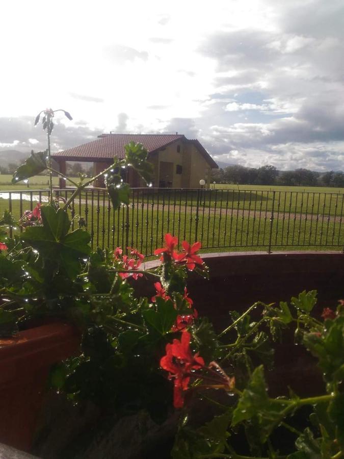 Agriturismo Oasi Del Pianettino Campagnatico 外观 照片