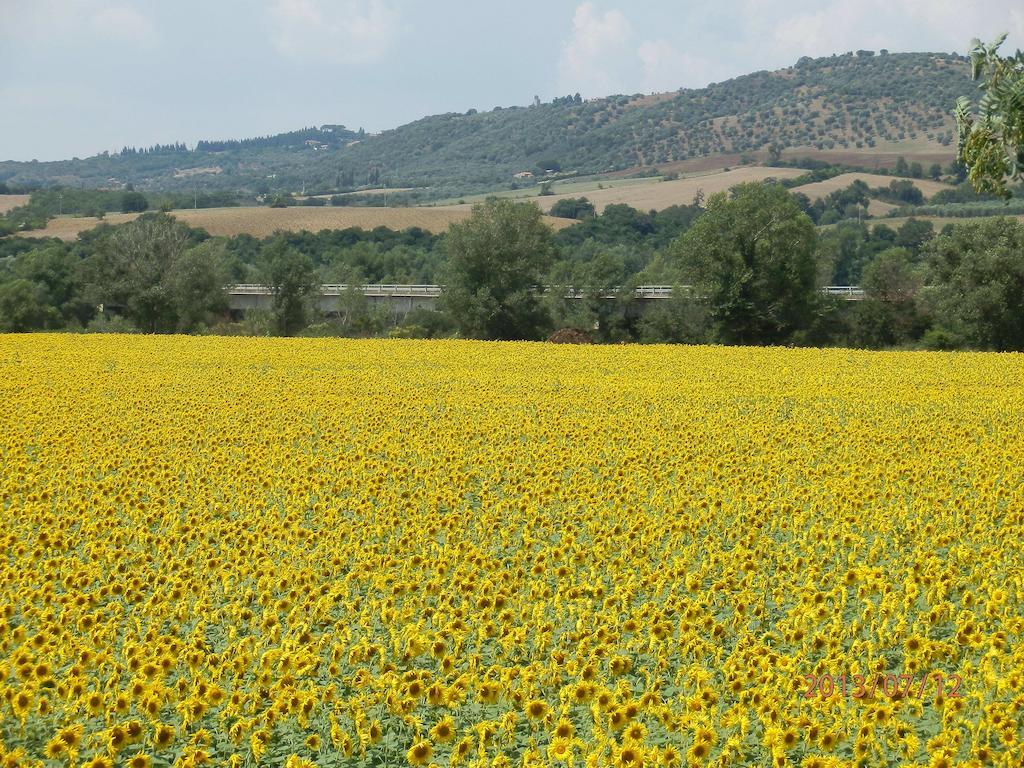 Agriturismo Oasi Del Pianettino Campagnatico 外观 照片